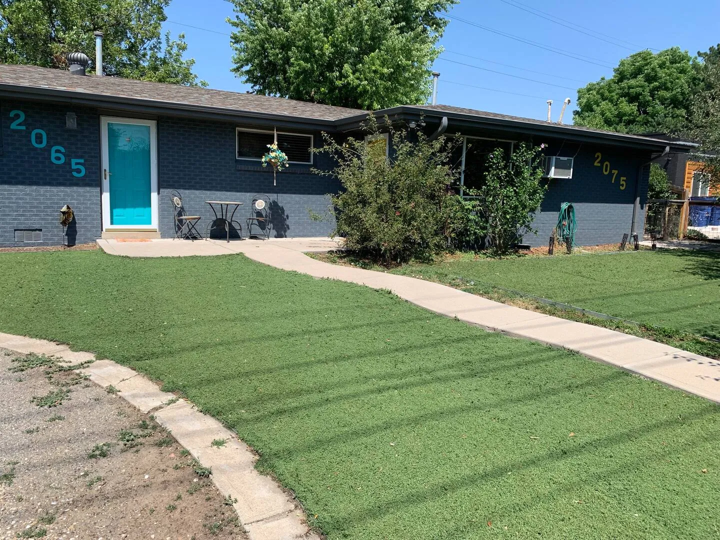 Front yard at the Lakewood duplex