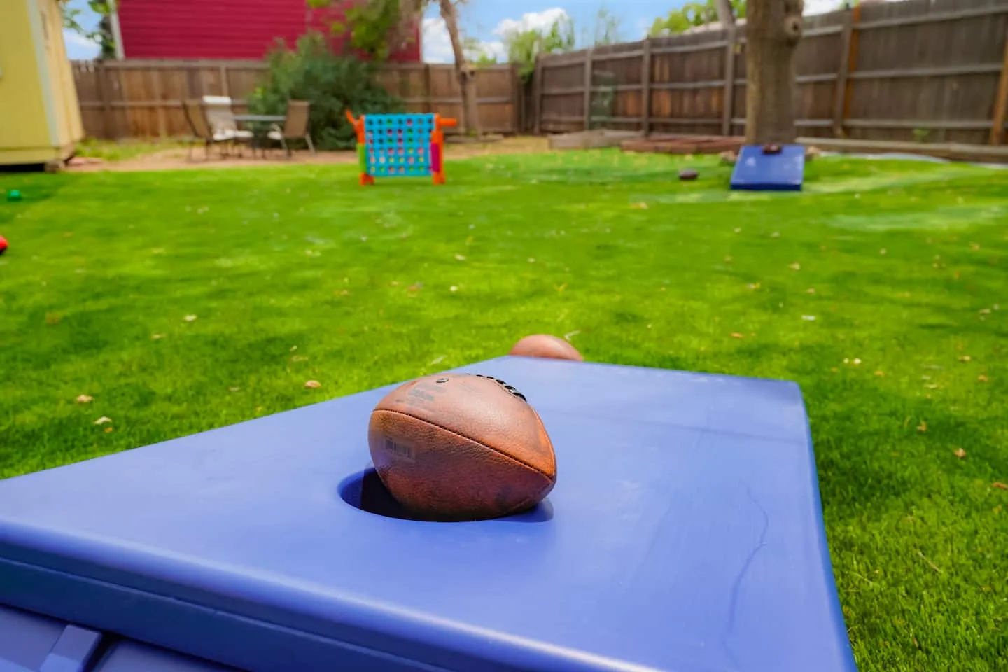 Backyard at the Westminster house